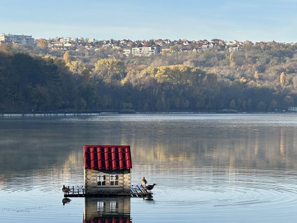 Снимки: Нели Христова